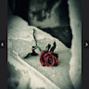 Meet your Posher, Janneth